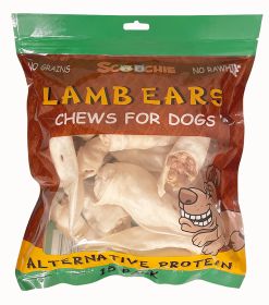 15 Pack Lamb Ear