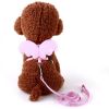 Angel Wing Pet Harness Leash Set Soft Safe Adjustable Outdoor Walking Leads Rope for Small Dog