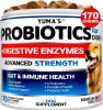 Probiotics for Dogs and Digestive Enzymes 170 Chews Fiber Supplement