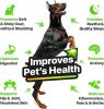 Hemp and Salmon Oil for Dogs Skin and Coat Omega Oil Rich in Vitamins B E