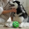 Giggle Dog Ball; 5.5" in Diameter; Green Interactive Toy Sound 12 oz; Wiggle Waggle Ball