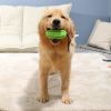 Food Dispenser Puppy Chewing Training Squeaky Leakage Ball Teething Toy Rubber Ball