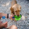 Travel Dog Bowl Foldable Water Bowl 4Pcs Silicone Collapsible