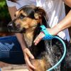 Portable Dog Shower Easy Install Pet Supplies Water Spray Bath Brush Pet Cleaning Grooming