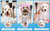 Dog Grooming Table Lanyard Cats and Dogs Bathing Fixer Pet Haircut Trim Blow Dry Traction Rope