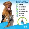 Kennel Cough Treatment Natural Infection Medicine Respiratory Cold Cough Relief Collapse