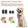 Electric Remote Training Collar IP67 Waterproof Rechargeable Dog Training System with Light Beep Vibration