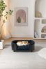 Scandinavian style Elevated Dog Bed Sofa, Solid Wood legs and Black Bent Wood Back, Cashmere Cushion