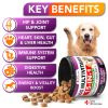 Dog Multivitamin Chewable with Glucosamine Dog Vitamins and Supplements Senior & Puppy