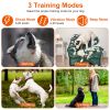 Electric Remote Training Collar IP67 Waterproof Rechargeable Dog Training System with Light Beep Vibration