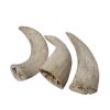 Water Buffalo Horn Inner High Protein; Long-Lasting; Grain-Free; Gluten-Free