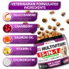 Dog Multivitamin Chewable with Glucosamine Dog Vitamins and Supplements Senior & Puppy