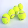 3pcs tennis toy micro elastic ball dog throwing interactive training