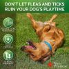 2 Pack Flea and Tick Prevention for Dogs Chewable for All Breeds Treats