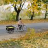 Foldable Bicycle Cargo Wagon Trailer Two-Wheel Bike Cargo Wheel Removable Cover