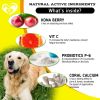 Dog Anti Itch Allergy Relief Chews Dry Itchy Skin Treatment with Probiotic Omega 3 Oil Immune Supplement