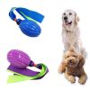 TPR Sounding Ribbon Ball Molar Bite-resistant Dog Toy Ball Training