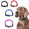 Dog Collar Solid Color Quickly Disengaged Dog Training Collar Teddy Bichon