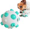 Dog Toy Interactive Chew Toy Non-Toxic Bite Resistant Rubber Ball