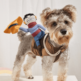 Cowboy Rider Pet Costume, For Small Medium Dogs & Cats, Pet Clothes (Color: Mixed Color, size: M)