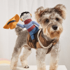 Cowboy Rider Pet Costume, For Small Medium Dogs & Cats, Pet Clothes