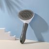 Pet Comb Stainless Dog and Cat Hair Removal Brush