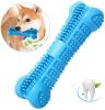 Chew Toy Stick Dog Toothbrush with Toothpaste Dental Chews Care