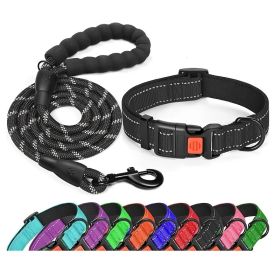 No Pull Dog Harness; Adjustable Nylon Dog Vest & Leashes (Color: Black, size: M)