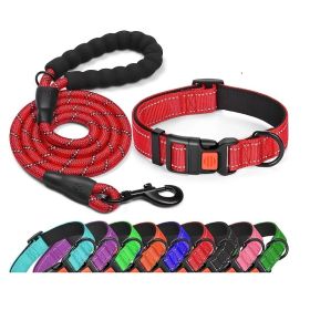 No Pull Dog Harness; Adjustable Nylon Dog Vest & Leashes (Color: Red, size: S)