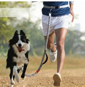 Hands Free Dog Leash Durable Dual Handle Waist Leash with Reflective Bungee (Specification (L * W): 2.5*160cm, colour: blue-4211)