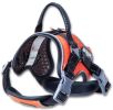 Dog Harness 'Scorpion' Sporty High-Performance Free-Range