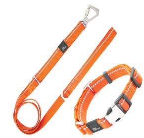 Outdoor Series 3M Reflective 2-in-1 Durable Martingale Training Dog Leash and Collar (Color: Orange, size: medium)