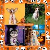 Halloween Dog Accessoires Bow Tie Neckties Small Dog