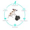 Paw Partner Dog Tumbler, Slow Feeder Swing Training Food Dispenser