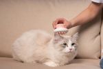 Handheld Bathing Brushing and Massaging Soft Flexible Grooming Pet Comb