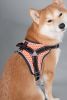 Dog Harness 'Scorpion' Sporty High-Performance Free-Range