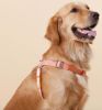 Durable Nylon Dog Harness and Leash Touch dog 'Macaron' 2-in-1