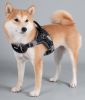 Dog Harness 'Scorpion' Sporty High-Performance Free-Range