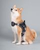 Dog Harness 'Scorpion' Sporty High-Performance Free-Range