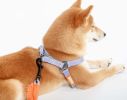 Durable Nylon Dog Harness and Leash Touch dog 'Macaron' 2-in-1