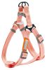 Durable Nylon Dog Harness and Leash Touch dog 'Macaron' 2-in-1