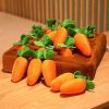 12 Plush Carrot Farm Hide and Seek Dog Toys