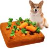 12 Plush Carrot Farm Hide and Seek Dog Toys