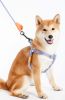 Durable Nylon Dog Harness and Leash Touch dog 'Macaron' 2-in-1