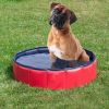 Dog Pool, Foldable Pool, Dog Bath, Non-Toxic Kid's Rigid Pool