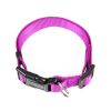 Dog Collar Solid Color Quickly Disengaged Dog Training Collar Teddy Bichon