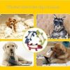 Dog Toys Animal Shape Plush Squeaky Chews Bite Resistant Cleaning Teeth