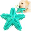 Sea Star Shaped Dog Toothbrush with Sound, Pet Teeth Grinding Toy Dog