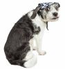 Graffiti Sculptured Uv Protectant Adjustable Fashion Dog Hat Cap