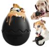 Large Dog Toy Dinosaur Eggs Fillable Slow Feeder Teeth Cleaning